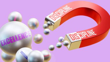 Mükemmellik getiren disiplin. Disiplinin mükemmeliyetin çeşitli parçalarını cezbettiği mıknatıs metaforu. Disiplin ve mükemmellik arasındaki sebep-sonuç ilişkisi.