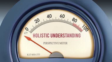 Sıfırın altında olan Holistik Anlayış ve Perspektif Ölçer son derece düşük bir bütünsel anlayış düzeyi gösteriyor, hiçbiri yetersiz değil. Minimum değer, bütünsel anlayış eksikliği. 