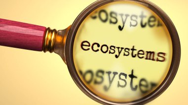 Ekosistemler inceleniyor, inceleniyor ve araştırılıyor. Yakından bak. Ekosistemlerin anlamını araştırmanın, araştırmanın ve analiz etmenin sembolü.