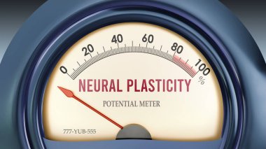 Nöral Plastisite ve Potansiyel Metre sıfırın altında, son derece düşük seviyede sinirsel esneklik gösteriyor, hiçbiri yetersiz değil. En düşük değer, sinirsel esneklik eksikliği. 