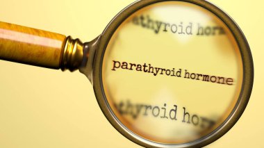 Paratiroid hormonu inceleniyor, inceleniyor ve araştırılıyor. Yakından bak. Paratiroid hormonun anlamını araştırmanın, araştırmanın ve analiz etmenin sembolü.