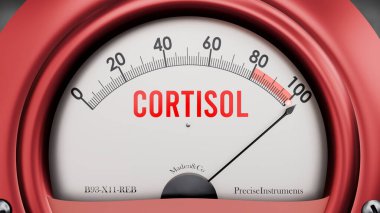 Kortizol ve Xyz Metre tam ölçekte, son derece yüksek seviyede kortizol gösteriyor, aşırı yükleniyor, çok fazla. Maksimum değer, standartların ötesinde.. 