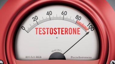 Testosteron ve Xyz Metre son derece yüksek seviyede testosteron gösteriyor, aşırı miktarda, çok fazla. Maksimum değer, standartların ötesinde.. 