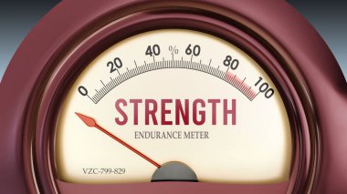 Güç ve Dayanıklılık Ölçeği sıfırın altında, son derece düşük bir güç seviyesi gösteriyor, hiçbiri yetersiz. Asgari değer, güç eksikliği. 