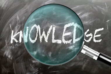 İnceleme, inceleme ve soruşturma altındaki bilgi. Yakından bak. Bilginin anlamını araştırmanın, keşfetmenin ve analiz etmenin sembolü.