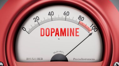 Dopamin ve Xyz Metre tam ölçekte, aşırı derecede dopamin gösteriyor, aşırı yüklenmiş, çok fazla. Maksimum değer, standartların ötesinde.. 