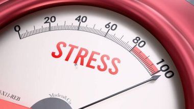 Stres şapkası tam ölçekte vuruyor, aşırı derecede stres gösteriyor, aşırı yükleniyor, çok fazla. Maksimum değer, standartların ötesinde.. 