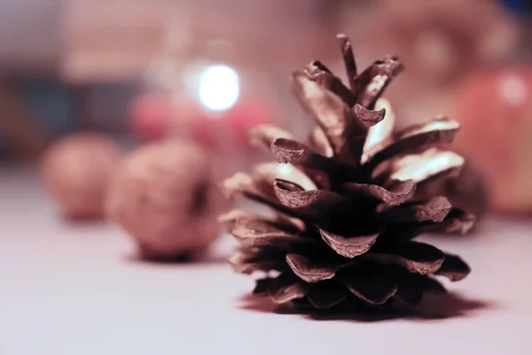 Christmas pine home decoration.