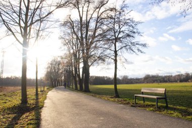 Ormanda güzel bir gün batımı