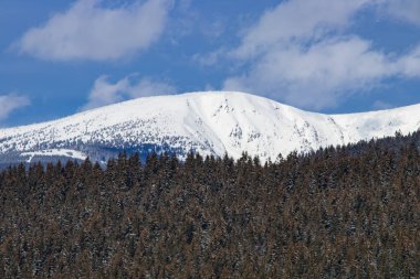 Dağların tepelerinde karla kaplı ağaçlarla kaplı güzel kış manzarası