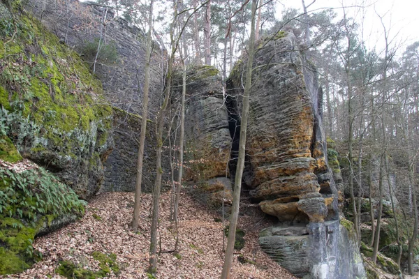 Piękny Widok Wodospad Lesie Drzewami Kamieniami — Zdjęcie stockowe