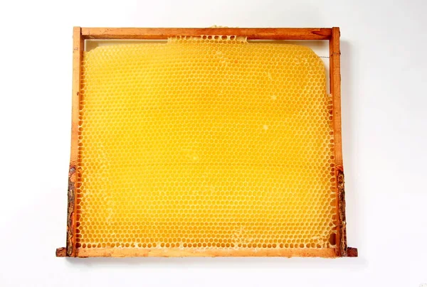 Bal Peteğinin Dokusu Parlak Sarı Bal Arkaplan Bal Hücreleri — Stok fotoğraf