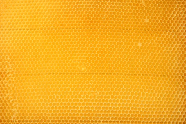 Υφή Κηρήθρας Φωτεινό Κίτρινο Φόντο Μελιού Γλυκοκύτταρα Εικόνα Αρχείου
