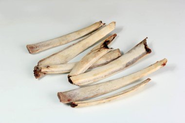 Beyaz arka planda doğal geyik kemikleri, etsiz kaburgalar.