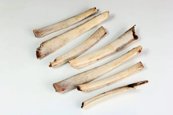 Beyaz Arka Planda Doğal Geyik Kemikleri Etsiz Kaburgalar — Stok fotoğraf
