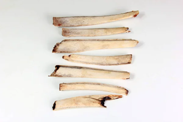 Кости Оленей Изолированы Белом Фоне Ребра Мяса — стоковое фото