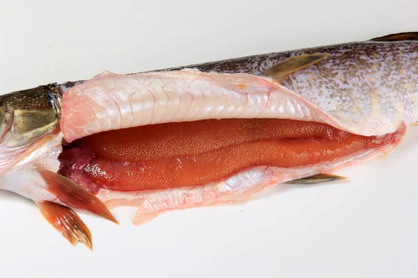 开胃的梭子鱼与Roe 生橙梭鱼 — 图库照片