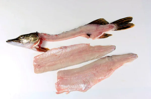 如何用刀制作梭子鱼片 白色背景下的进程 — 图库照片