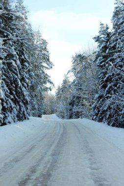 Kışın karla kaplı yollar, ağaçlarla kaplı karlar, arabasız güneşli bir gün.