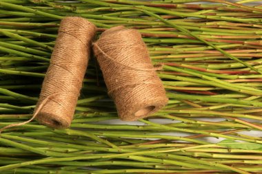 Beyaz arka planda yapraksız bir sürü kenevir sapı