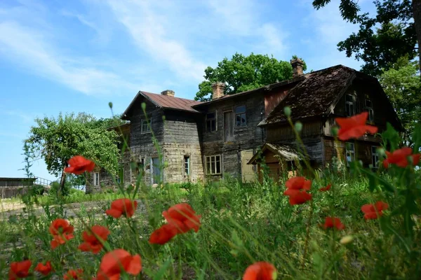 stock image Old wooden house with red poppies in the foreground and big trees, Sejas house Penkule, Latvia