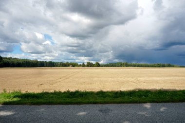    Sonbahar manzarası, biçilmiş mısır tarlası ve güneşli havada güzel yağmur bulutları.                            