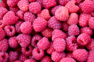 Kırmızı ahududu arka plan, dut arka plan