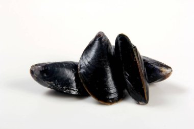 Beyaz arka planda izole edilmiş taze midye. Plastik kutuda taze midyeler.
