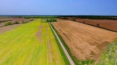 Duffins Rouge Tarım Koruma Alanındaki tarım arazisi, Durham County, Ontario, Kanada. İlkbahar 2023