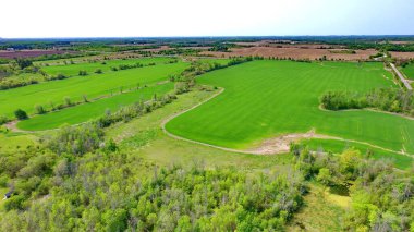 Duffins Rouge Tarım Koruma Alanındaki tarım arazisi, Durham County, Ontario, Kanada. İlkbahar 2023