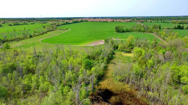 공중에서 캐나다 온타리오주 더럼군 구역에 농지가 보인다 2023 스톡 사진