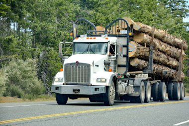 Cameron Bluffs, Vancouver Adası, British Columbia, Kanada: 29 Haziran 2023: Otoyoldaki tek şeritli trafik Vancouver Adası 'ndaki yangının ardından Cameron Kayalıklarını geçmek için bekliyor.