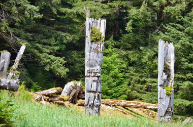 Tarihi Totem Polonyalıları, Sgang Gwaay, Ninstints, Haida Gwaii, BC, Kanada