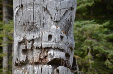 Tarihi Totem Polonyalıları, Sgang Gwaay, Ninstints, Haida Gwaii, BC, Kanada