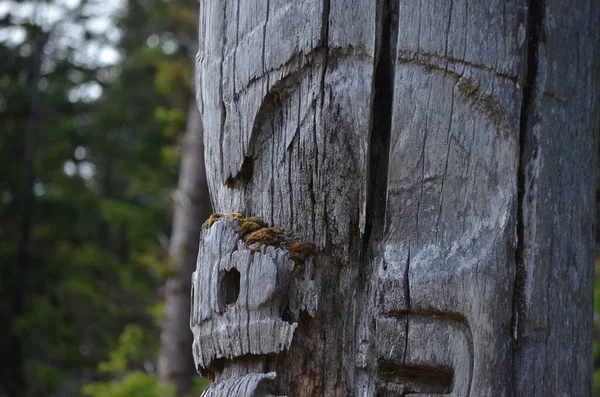 Tarihi Totem Polonyalıları, Sgang Gwaay, Ninstints, Haida Gwaii, BC, Kanada