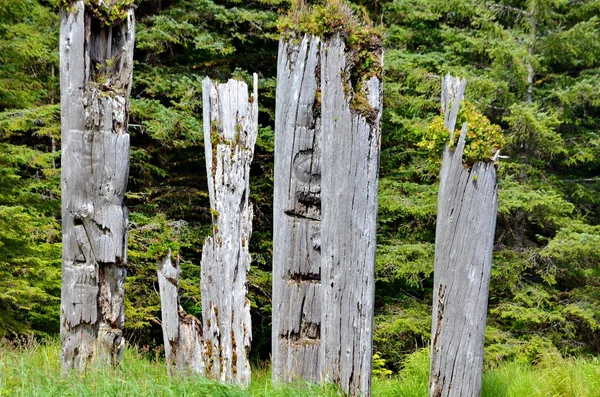 Tarihi Totem Polonyalıları, Sgang Gwaay, Ninstints, Haida Gwaii, BC, Kanada