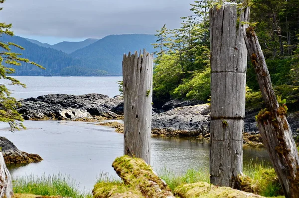 Totem Histórico Pólos Sgang Gwaay Ninstints Haida Gwaii Canadá Fotografias De Stock Royalty-Free