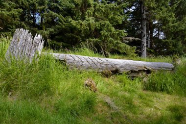 Skedanlardaki Tarihi Totem Polonyalıları, Haida Gwaii, BC, Kanada