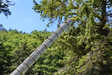 Skedanlardaki Tarihi Totem Polonyalıları, Haida Gwaii, BC, Kanada