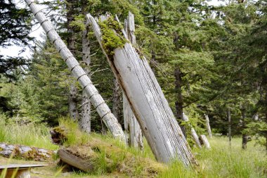 Skedanlardaki Tarihi Totem Polonyalıları, Haida Gwaii, BC, Kanada