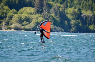 Vancouver Adası, BC, Kanada 'daki Nitinat Gölü' nde sörf tahtası. Nitinaht, istikrarlı ve tutarlı rüzgarları nedeniyle Kanada 'nın en iyi uçurtma sörfü yerlerinden biridir..