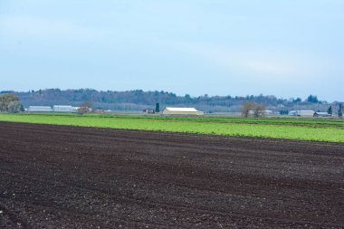 Hollanda bataklığında tarım arazisi Ontario, Kanada 'da.
