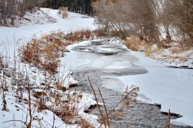 Rouge Nehri kışın Markham, Ontario, Kanada 'da.