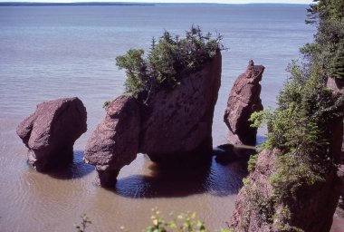 The Hopewell Rocks in the Bay of Fundy, New Brunswick (August 1985) clipart