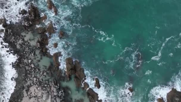 Florianopolis 아르마오 해변과 카타리나 — 비디오