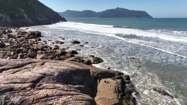 Stranden Saquinho Florianopolis Flygvy — Stockvideo