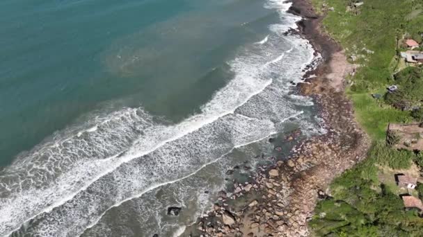Пляж Сакіньйо Флоріанополіс Повітряний Вигляд — стокове відео