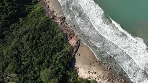 Пляж Сакиньо Флорианополис Вид Воздуха — стоковое видео