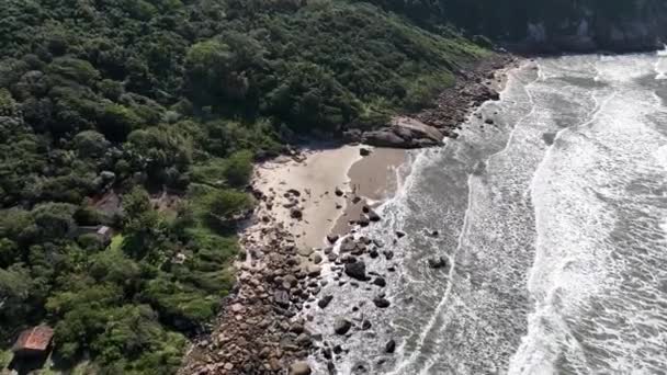 Пляж Сакиньо Флорианополис Aerial View — стоковое видео