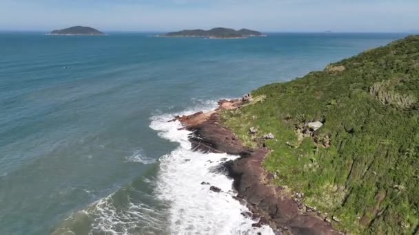 Playa Saquinho Florianópolis Vista Aérea — Vídeos de Stock
